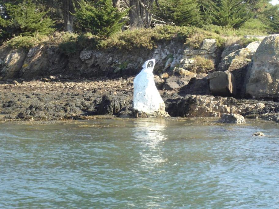 فيلا Entre Golfe Et Ocean La Trinité-Surzur المظهر الخارجي الصورة