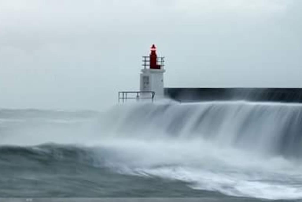 فيلا Entre Golfe Et Ocean La Trinité-Surzur المظهر الخارجي الصورة